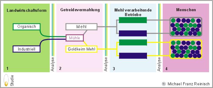 targets /images/goldkeim-studie.jpg